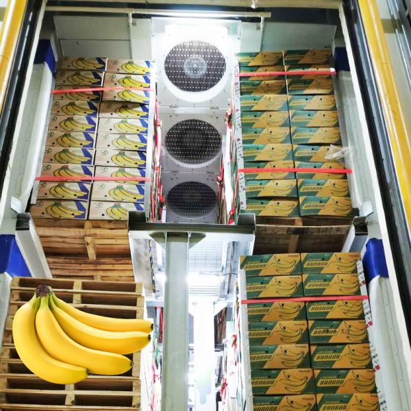 Evaporators for banana ripening rooms